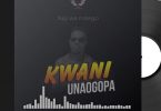 MP3 DOWNLOAD Nay Wa Mitego – Kwani Unaogopa