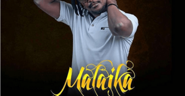 MP3 DOWNLOAD Nyashinski - Malaika