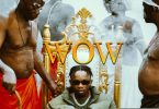 VIDEO DOWNLOAD Marioo – WOW