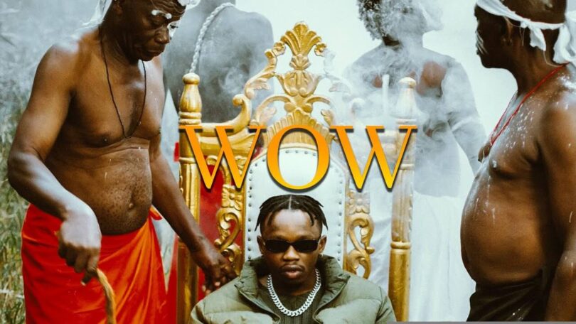 VIDEO DOWNLOAD Marioo – WOW