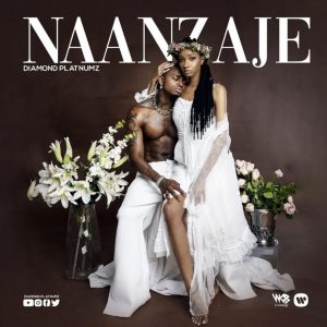 VIDEO DOWNLOAD Diamond Platnumz – Naanzaje
