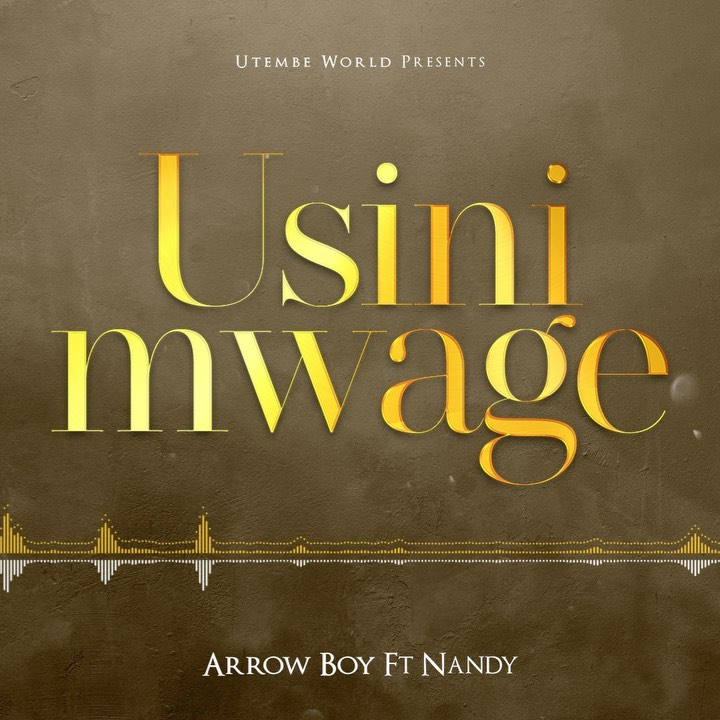 MP3 DOWNLOAD Arrow Bwoy Ft Nandy – Usinimwage