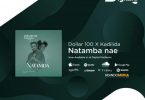 MP3 DOWNLOAD Dollar 100 X Kadilida – Natamba Nae