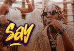 MP3 DOWNLOAD Country Wizzy – Say