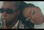 VIDEO DOWNLOAD Joh Makini Ft Nandy – Swagg