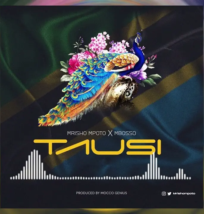 MP3 DOWNLOAD Mrisho Mpoto Ft Mbosso – Tausi