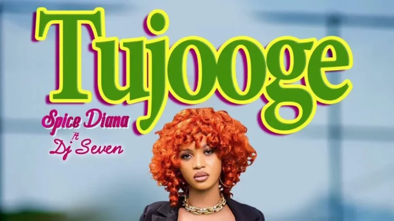 MP3 DOWNLOAD Spice Diana Ft Dj Seven – Tujooge