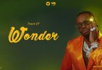 VIDEO DOWNLOAD Diamond Platnumz – Wonder