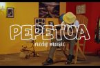 VIDEO DOWNLOAD Nedy Music – Pepetua