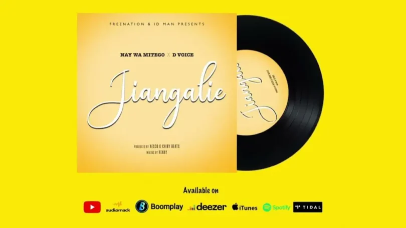 MP3 DOWNLOAD D Voice Ft Nay Wa Mitego – Jiangalie