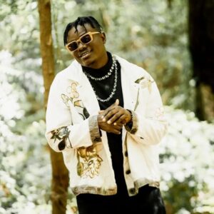 MP3 DOWNLOAD Hamadai Ft Alikiba – Niamini