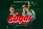 MP3 DOWNLOAD Jay Melody Ft Marioo - Sugar Remix