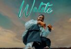 MP3 DOWNLOAD Manengo Ft Nacha - Walete