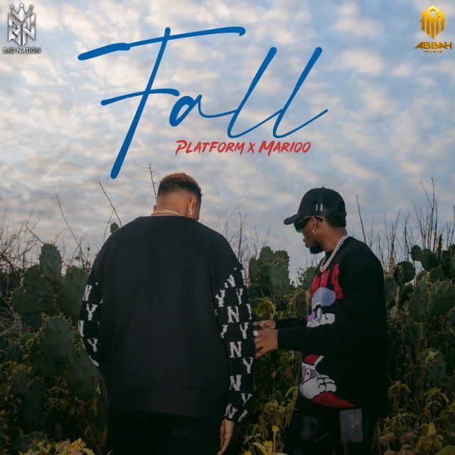 MP3 DOWNLOAD Platform Tz Ft Marioo – Fall