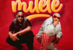 MP3 DOWNLOAD Manengo Ft Kusah - Milele