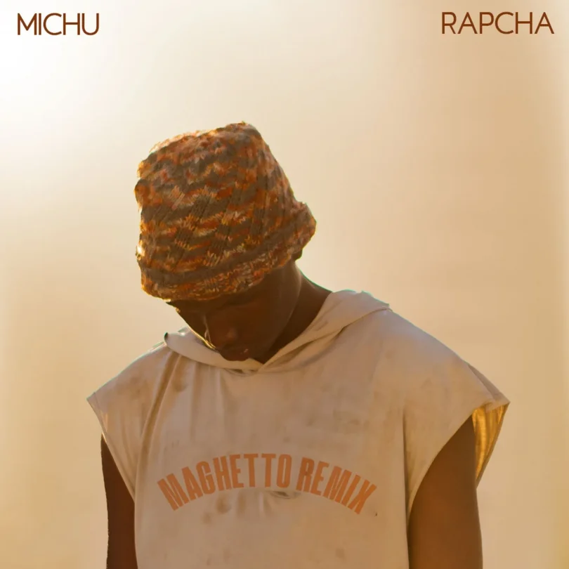 MP3 DOWNLOAD Michu Ft Rapcha - Maghetto Remix