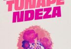 MP3 DOWNLOAD Ibraah Ft Harmonize - Tunapendeza