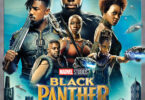 Black Panther (2018) - English Subtitle