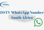 DSTV Whatsapp Number South Africa