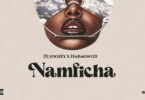 MP3 DOWNLOAD Dj Joozey Ft Harmonize – Namficha