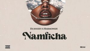 MP3 DOWNLOAD Dj Joozey Ft Harmonize – Namficha
