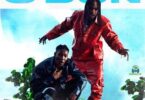 MP3 DOWNLOAD Naira Marley Ft Zinoleesky - O'dun