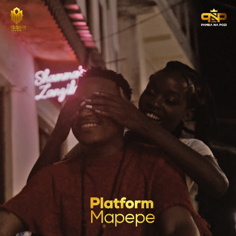 MP3 DOWNLOAD Platform TZ - Mapepe