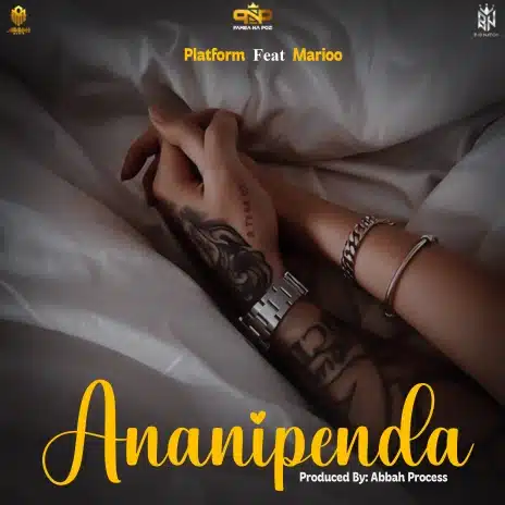 MP3 DOWNLOAD Platform Ft Marioo – Ananipenda