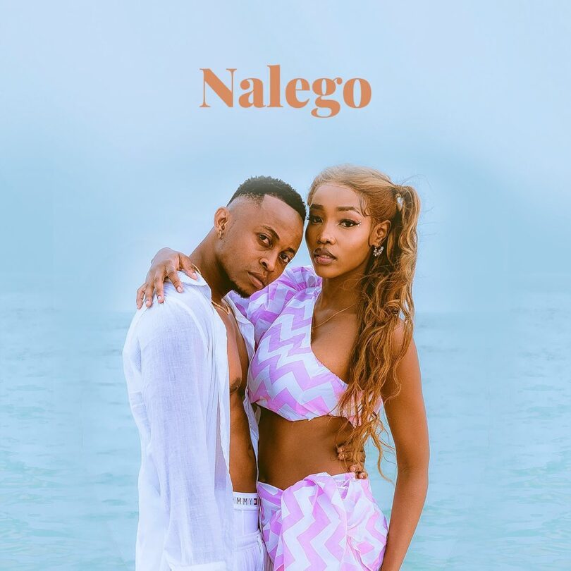 MP3 DOWNLOAD Mavokali - Nalego