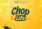 MP3 DOWNLOAD Mr Leo - Chop Life