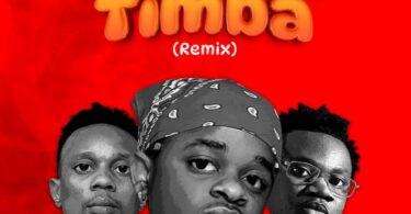 MP3 DOWNLOAD Whozu Ft Mbosso & Billnass – Ameyatimba Remix
