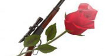 SIMULIZI Magnum 22