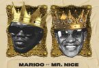 MP3 DOWNLOAD Marioo Ft Mr. Nice - Shisha