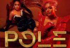 MP3 DOWNLOAD Mimi Mars Ft Nandy - Pole