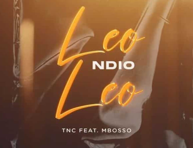 MP3 DOWNLOAD TNC Ft Mbosso - Leo