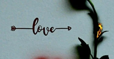 MP3 DOWNLOAD Toxic - Love Dies