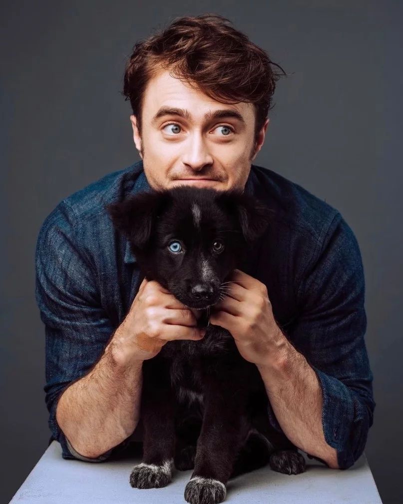 Daniel Radcliffe Net Worth 2023