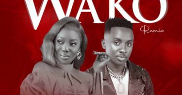 MP3 DOWNLOAD Chimah Ft Centano – Wako Remix
