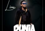 MP3 DOWNLOAD Linex Sunday – Dunia Nyingine