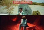 MP4 DOWNLOAD D Voice Ft Lava lava – Turudiane