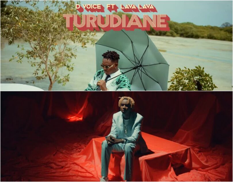 MP4 DOWNLOAD D Voice Ft Lava lava – Turudiane