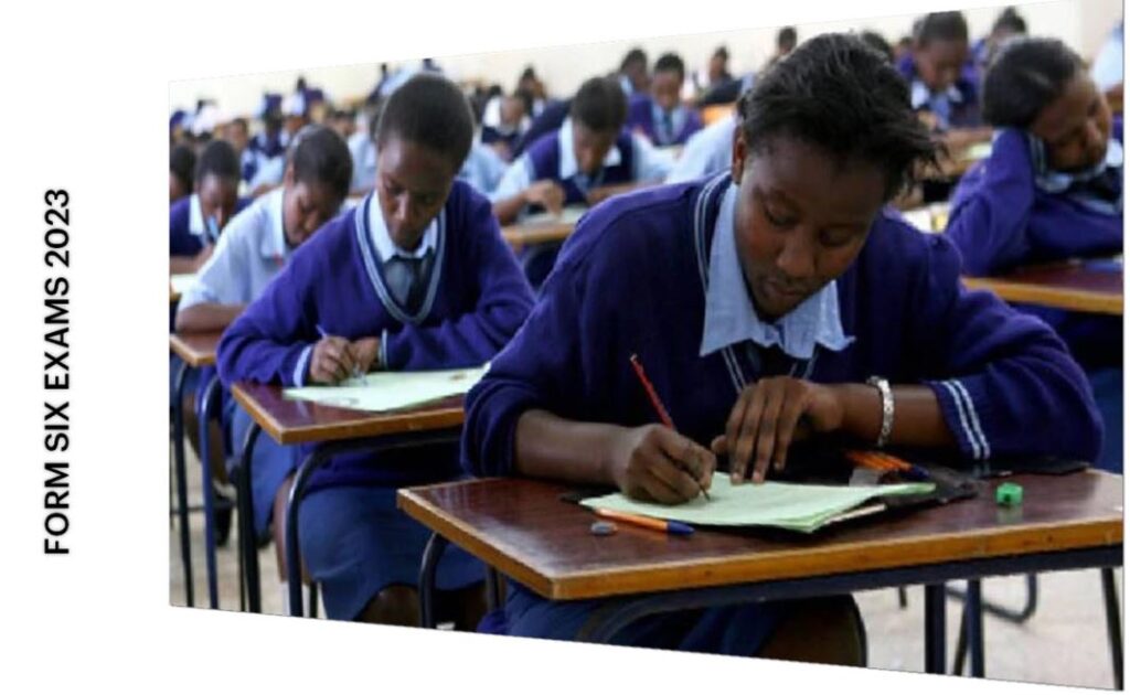 Form FOUR Results 2023/2024 CSEE NECTA (Matokeo ya Kidato Cha Nne 2024)