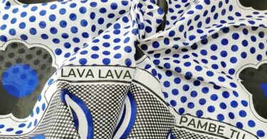 MP3 DOWNLOAD Lava Lava - Pambe Tu