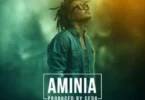 MP3 DOWNLOAD Nyashinski - Aminia