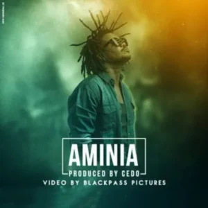 MP3 DOWNLOAD Nyashinski - Aminia