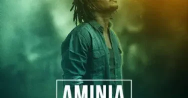 MP3 DOWNLOAD Nyashinski - Aminia