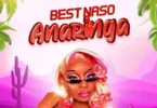 MP3 DOWNLOAD Best Naso - Anaringa