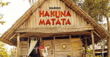 MP3 DOWNLOAD Marioo - Hakuna Matata