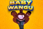 MP3 DOWNLOAD Mzee wa Bwax Ft Meja Kunta - Baby Wangu