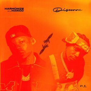 MP3 DOWNLOAD Harmonize Ft Marioo - Disconnect